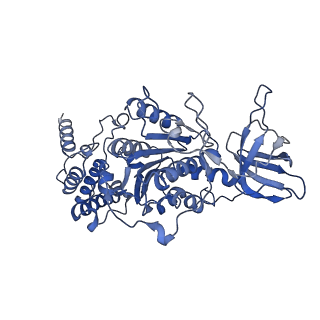 21269_6vom_E_v1-2
Chloroplast ATP synthase (R2, CF1)