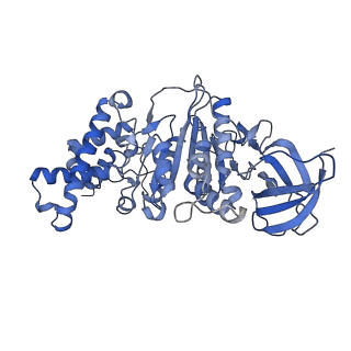 21269_6vom_F_v1-1
Chloroplast ATP synthase (R2, CF1)