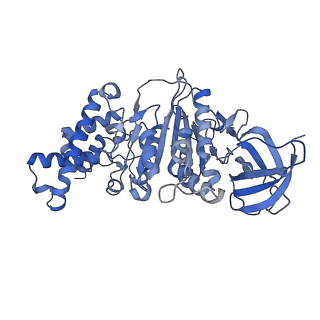 21269_6vom_F_v1-2
Chloroplast ATP synthase (R2, CF1)