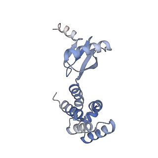 21269_6vom_d_v1-1
Chloroplast ATP synthase (R2, CF1)