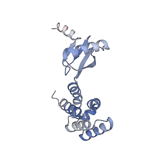 21269_6vom_d_v1-2
Chloroplast ATP synthase (R2, CF1)