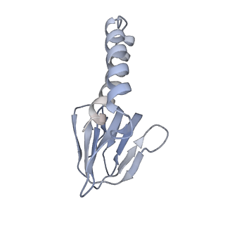 21269_6vom_e_v1-1
Chloroplast ATP synthase (R2, CF1)