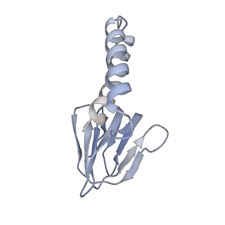 21269_6vom_e_v1-2
Chloroplast ATP synthase (R2, CF1)