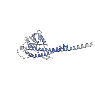 21269_6vom_g_v1-1
Chloroplast ATP synthase (R2, CF1)
