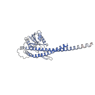 21269_6vom_g_v1-2
Chloroplast ATP synthase (R2, CF1)