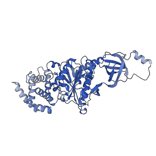 21270_6von_B_v1-1
Chloroplast ATP synthase (R1, CF1FO)