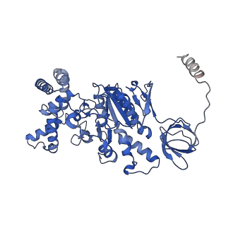21270_6von_C_v1-1
Chloroplast ATP synthase (R1, CF1FO)