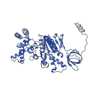 21270_6von_C_v1-2
Chloroplast ATP synthase (R1, CF1FO)