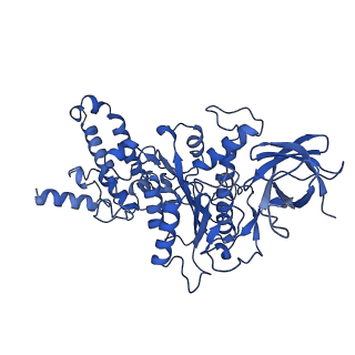 21270_6von_D_v1-1
Chloroplast ATP synthase (R1, CF1FO)