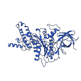 21270_6von_D_v1-2
Chloroplast ATP synthase (R1, CF1FO)