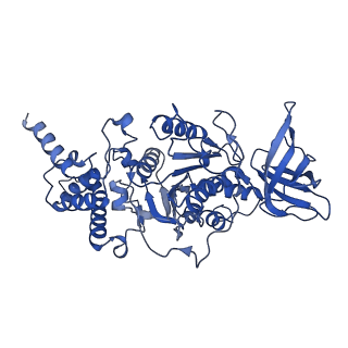 21270_6von_E_v1-1
Chloroplast ATP synthase (R1, CF1FO)