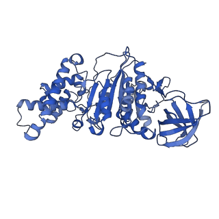 21270_6von_F_v1-1
Chloroplast ATP synthase (R1, CF1FO)