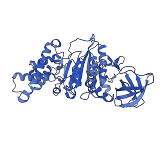 21270_6von_F_v1-2
Chloroplast ATP synthase (R1, CF1FO)