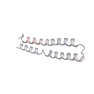 21270_6von_M_v1-2
Chloroplast ATP synthase (R1, CF1FO)