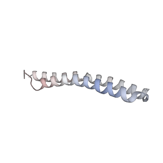 21270_6von_P_v1-2
Chloroplast ATP synthase (R1, CF1FO)