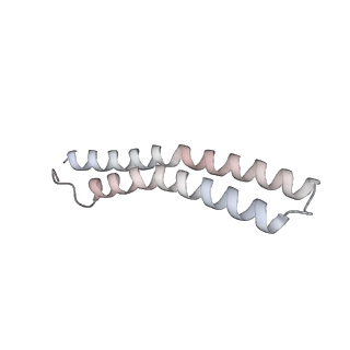 21270_6von_Q_v1-1
Chloroplast ATP synthase (R1, CF1FO)