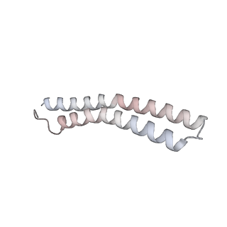 21270_6von_Q_v1-2
Chloroplast ATP synthase (R1, CF1FO)