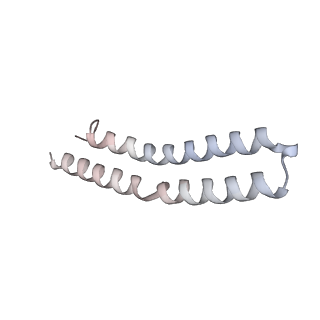 21270_6von_W_v1-2
Chloroplast ATP synthase (R1, CF1FO)