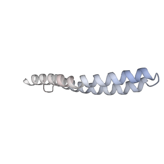 21270_6von_Y_v1-1
Chloroplast ATP synthase (R1, CF1FO)