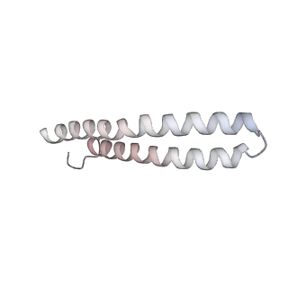 21270_6von_Z_v1-2
Chloroplast ATP synthase (R1, CF1FO)