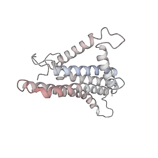 21270_6von_a_v1-1
Chloroplast ATP synthase (R1, CF1FO)