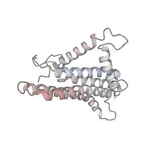 21270_6von_a_v1-2
Chloroplast ATP synthase (R1, CF1FO)