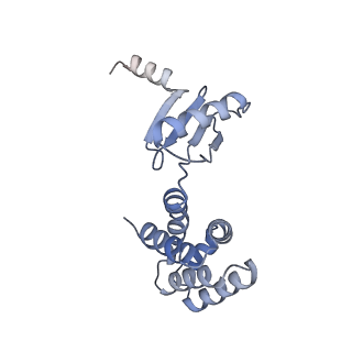 21270_6von_d_v1-1
Chloroplast ATP synthase (R1, CF1FO)