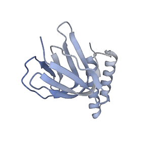 21270_6von_e_v1-1
Chloroplast ATP synthase (R1, CF1FO)