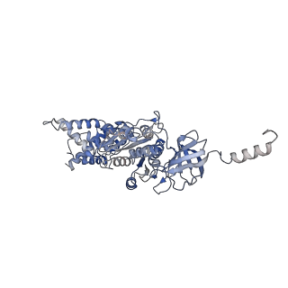 21271_6voo_A_v1-1
Chloroplast ATP synthase (R1, CF1)