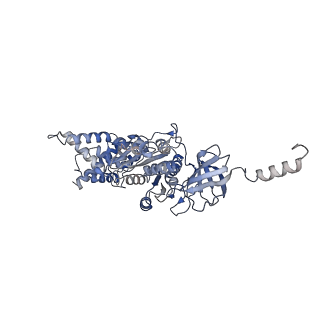 21271_6voo_A_v1-2
Chloroplast ATP synthase (R1, CF1)