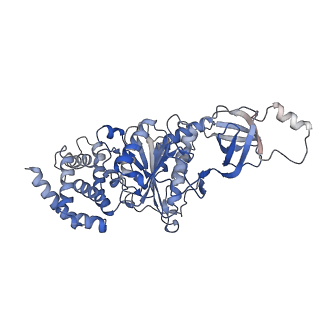 21271_6voo_B_v1-1
Chloroplast ATP synthase (R1, CF1)