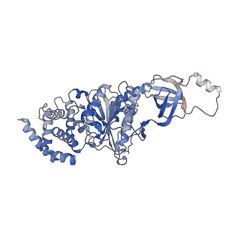 21271_6voo_B_v1-2
Chloroplast ATP synthase (R1, CF1)