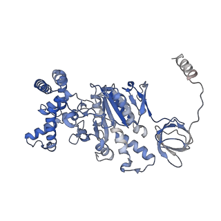 21271_6voo_C_v1-1
Chloroplast ATP synthase (R1, CF1)