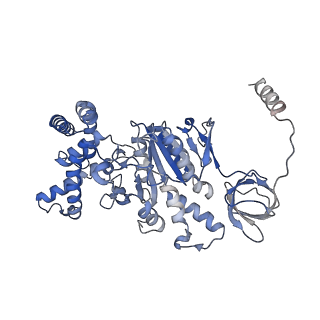 21271_6voo_C_v1-2
Chloroplast ATP synthase (R1, CF1)