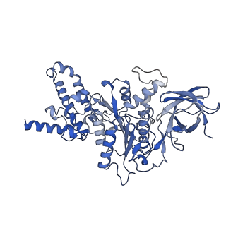 21271_6voo_D_v1-1
Chloroplast ATP synthase (R1, CF1)