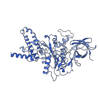 21271_6voo_D_v1-2
Chloroplast ATP synthase (R1, CF1)