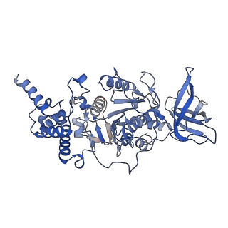 21271_6voo_E_v1-2
Chloroplast ATP synthase (R1, CF1)