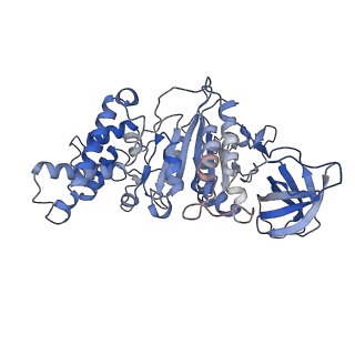 21271_6voo_F_v1-1
Chloroplast ATP synthase (R1, CF1)