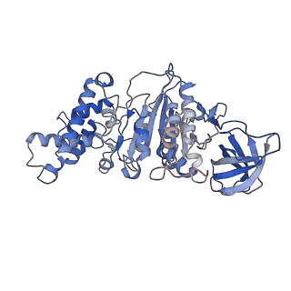 21271_6voo_F_v1-2
Chloroplast ATP synthase (R1, CF1)