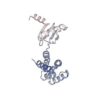 21271_6voo_d_v1-1
Chloroplast ATP synthase (R1, CF1)