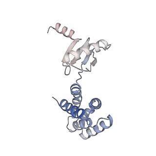 21271_6voo_d_v1-2
Chloroplast ATP synthase (R1, CF1)