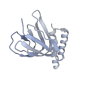 21271_6voo_e_v1-1
Chloroplast ATP synthase (R1, CF1)