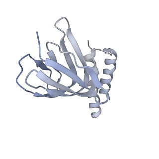 21271_6voo_e_v1-2
Chloroplast ATP synthase (R1, CF1)