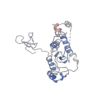 21301_6voy_B_v1-0
Cryo-EM structure of HTLV-1 instasome