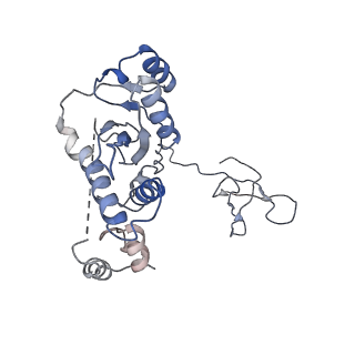 21301_6voy_D_v1-0
Cryo-EM structure of HTLV-1 instasome
