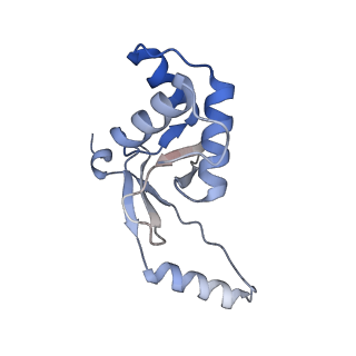 32048_7vo0_G_v1-1
Streptomyces coelicolor zinc uptake regulator complexed with zinc and DNA (trimer of dimers)