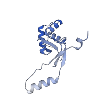 32048_7vo0_K_v1-1
Streptomyces coelicolor zinc uptake regulator complexed with zinc and DNA (trimer of dimers)