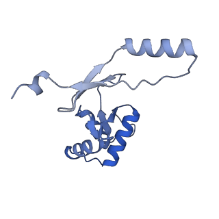 32048_7vo0_M_v1-1
Streptomyces coelicolor zinc uptake regulator complexed with zinc and DNA (trimer of dimers)