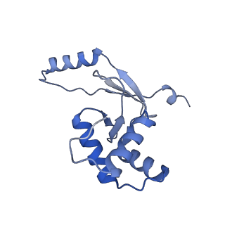 32048_7vo0_N_v1-1
Streptomyces coelicolor zinc uptake regulator complexed with zinc and DNA (trimer of dimers)