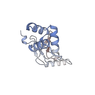 32049_7vo9_G_v1-1
Streptomyces coelicolor zinc uptake regulator complexed with zinc and DNA (dimer of dimers)